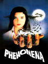 Book cover for Phenomena (1985)