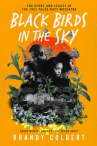 Book cover for Black Birds in the Sky: The Story and Legacy of the 1921 Tulsa Race Massacre 
