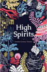 Book cover for High spirits : short stories on Dominican diaspora 
