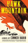 Book cover for Hawk Mountain 