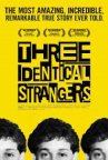 Book cover for Three Identical Strangers