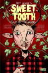 Book cover for Sweet Tooth