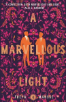 Book cover for A Marvellous Light
