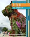 Book cover for Art for All: Public Art 