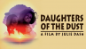 Book cover for Daughters of the Dust 