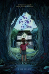 Book cover for Too Bright to See 