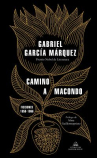 Book cover for Camino a Macondo: ficciones 1950-1966