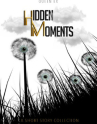 Book cover for Hidden Moments