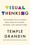 Book cover for Visual thinking : the hidden gifts of people who think in pictures, patterns, and abstractions 