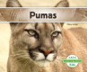 Book cover for Pumas 