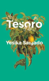 Book cover for Tesoro