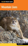 Book cover for Mountain Lions 