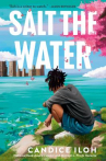 Book cover of Salt the water 