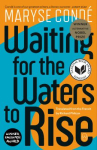 Book cover for Waiting for the waters to rise
