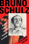 Book cover of Bruno Schulz : an artist, a murder, and the hijacking of history 