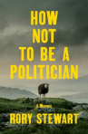 Book cover of How not to be a politician : a memoir 