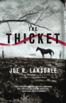 Book cover of The thicket