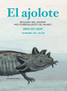 Book cover of El ajolote: biología del anfibio más sobresaliente del mundo 