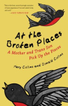 Book cover for At the broken places : a mother and trans son pick up the pieces