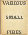 small-fires book cover