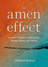 Book cover of The amen effect : ancient wisdom to mend our broken hearts and world 
