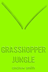 Book cover for Grasshopper Jungle 