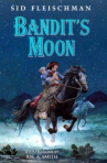 Book cover for Bandit's moon