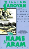 Book cover of My name is Aram 