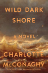 Book cover of Wild dark shore 