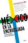 Book cover of México en la encrucijada: los retos económicos del país al que aspiramos 