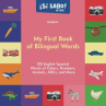 Book cover of My Big bilingual Book of First Words
