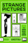 Book cover of Strange pictures 