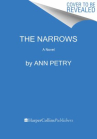 Book cover of The narrows 