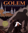 Book cover for Golem