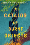Book cover of A catalog of burnt objects 