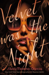 Book cover for Velvet Was the Night