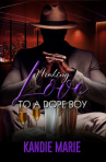 Book cover of Making love to a dope boy 
