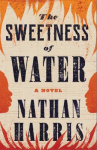 Book cover for The Sweetness of Water