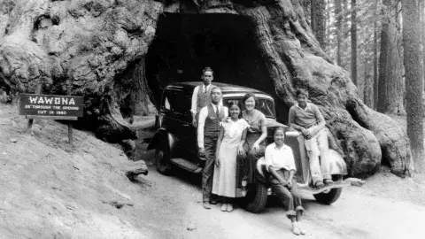 Japanese family gather beside an automobile at Wawona Tree in Yosemite National Park