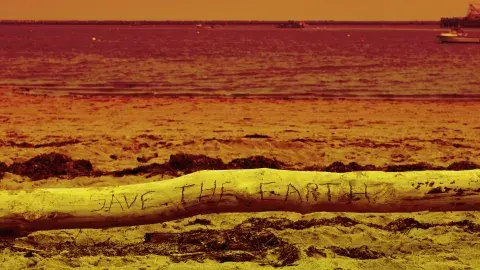 Polluted Beach with a piece of driftwood that reads, Save the Earth