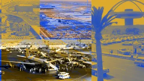 collage of lax photos