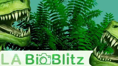 2 plant monsters eating an invasive species
