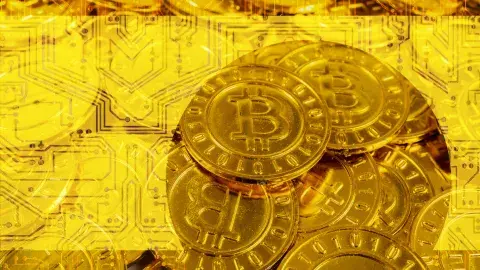 close up collection of gold bitcoins