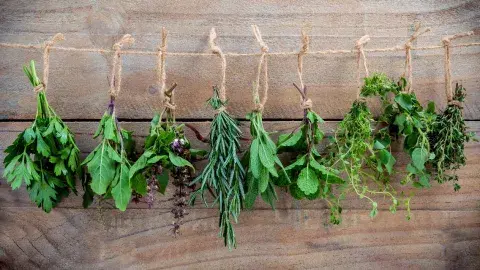 herbs bundles tied in twine hanging upside down 