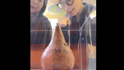 Two people look at gourd through display glass