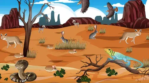 Desert with various animals.