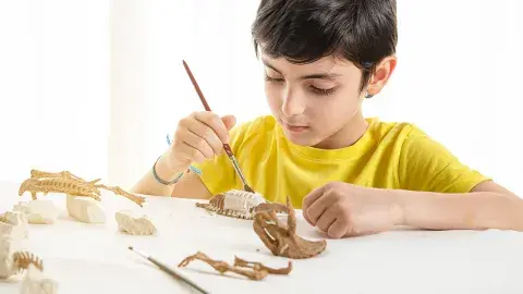Boy brushing a fossil