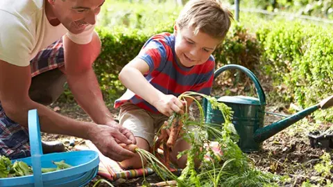 people planting vegetables