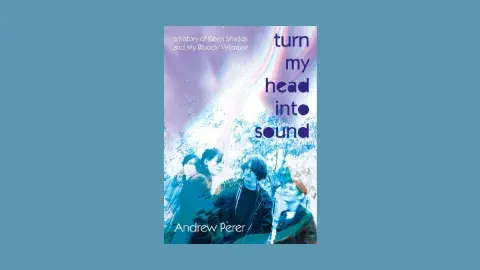 Turn My Head Into Sound book cover