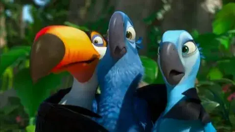 A close up of three animated tropical birds staring at each other surprised